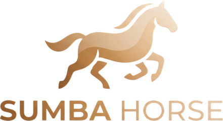 Sumba Horse