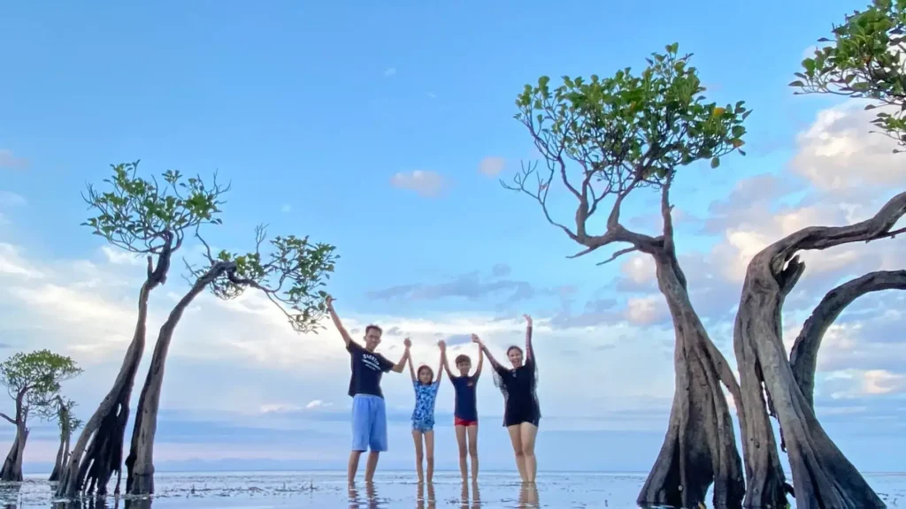 A family among the mangrove trees at Walakiri Beach