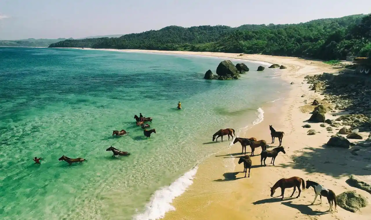 Horses on the sand at Nihiwatu Beach