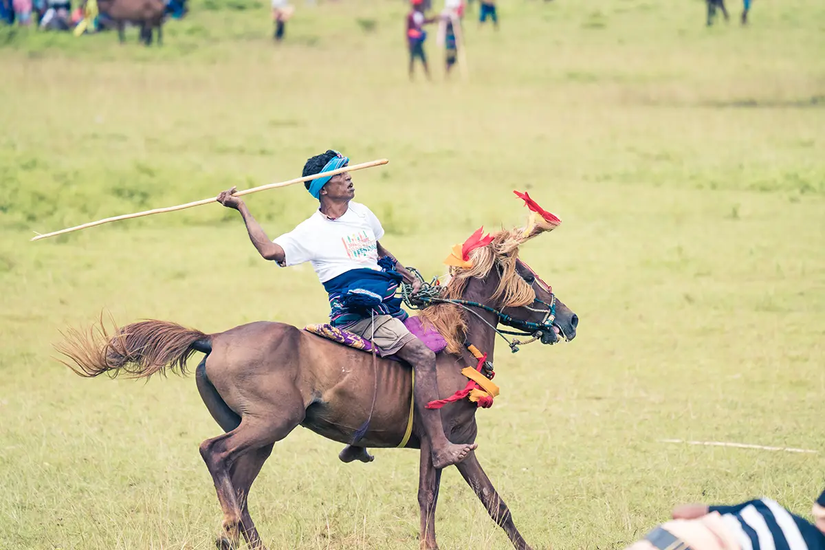 A Pasola rider levelling his spear from horseback